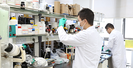 bevictor伟德官网-韦德官方网站